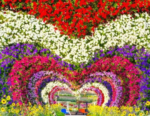 Miracle Garden & Global Village Tour with Dubai Transfer