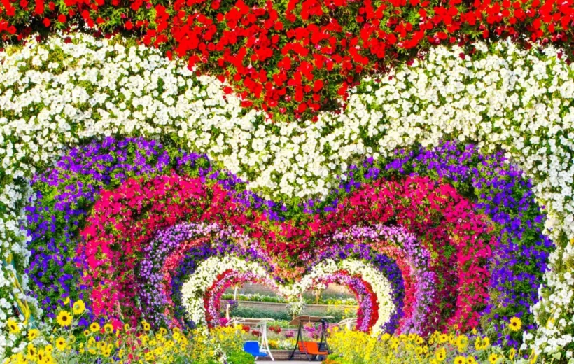 Miracle Garden & Global Village Tour with Dubai Transfer