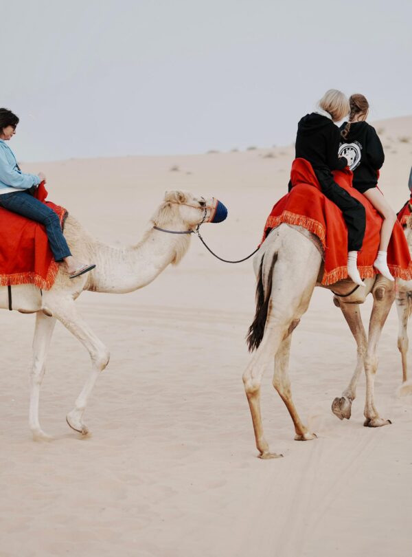 bedouin-desert-safari-in-abu-dhabi