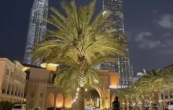 Private Dubai At Night Layover Tour