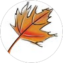 Sumit Pabbi profile picture