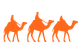 Camel ride